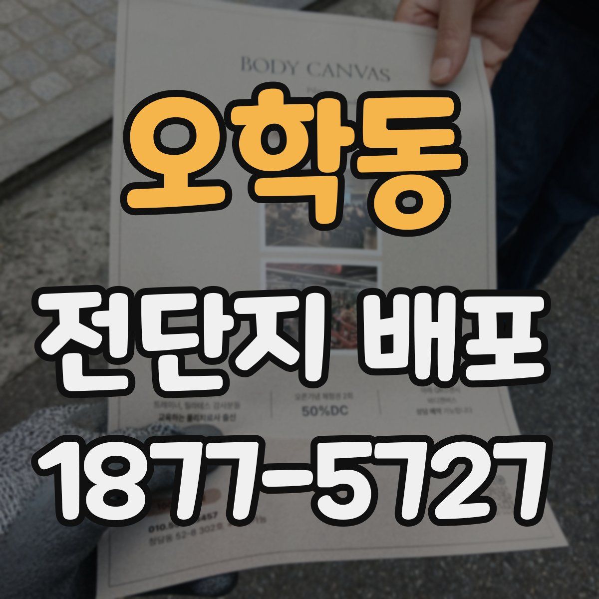 오학동 전단지 배포