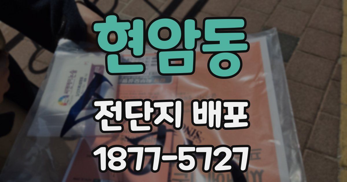 현암동 전단지 배포