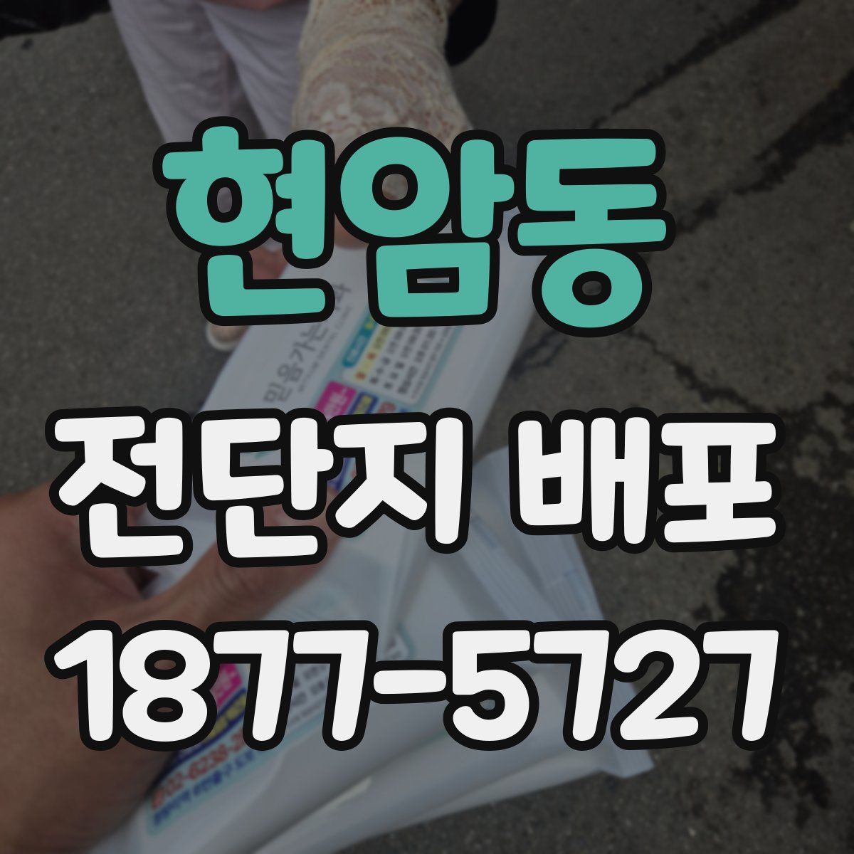 현암동 전단지 배포