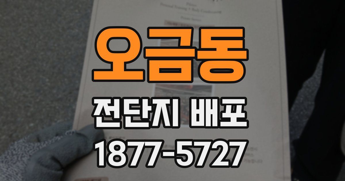 오금동 전단지 배포