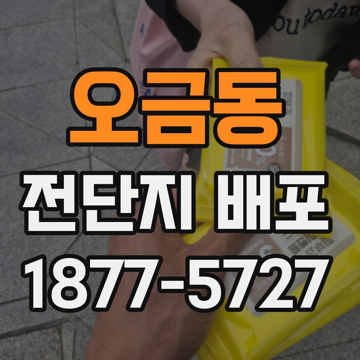 오금동 전단지 배포
