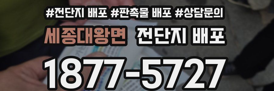 세종대왕면 전단지 배포
