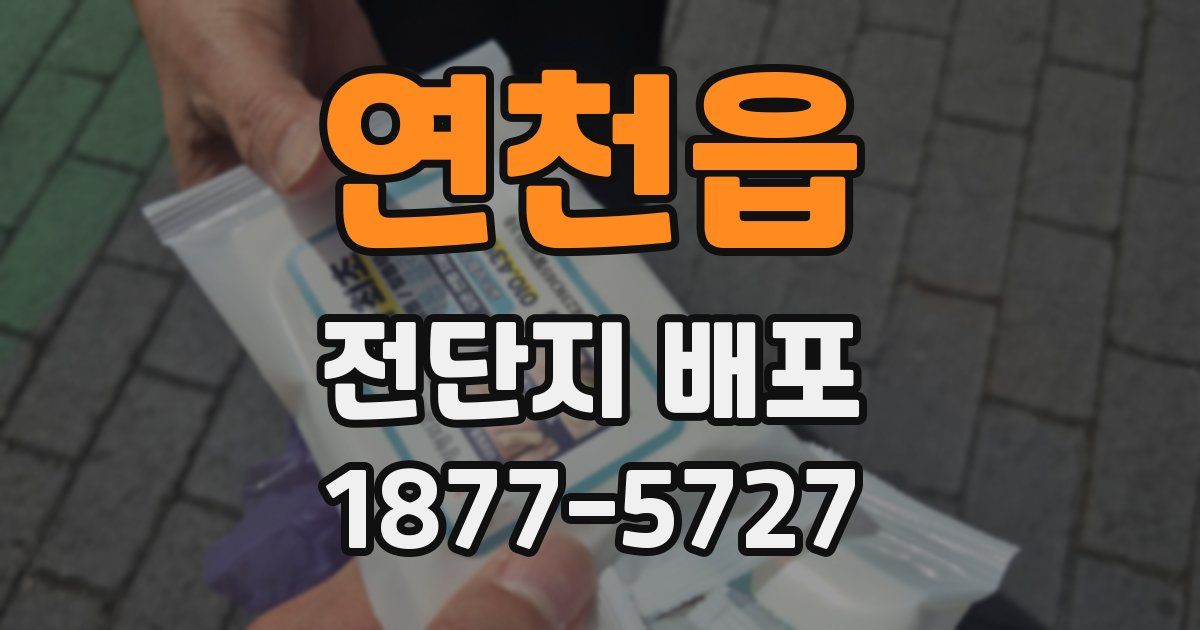 연천읍 전단지 배포