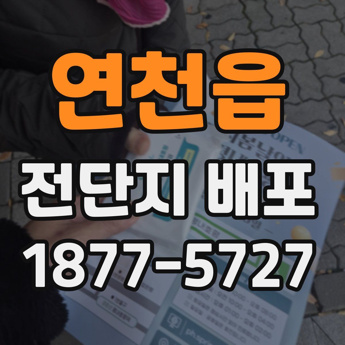 연천읍 전단지 배포