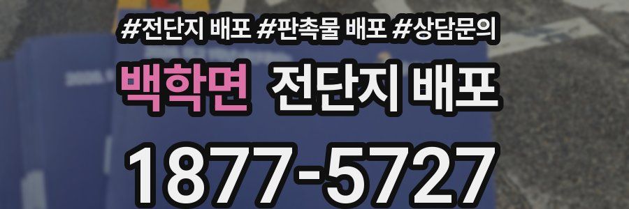 백학면 전단지 배포