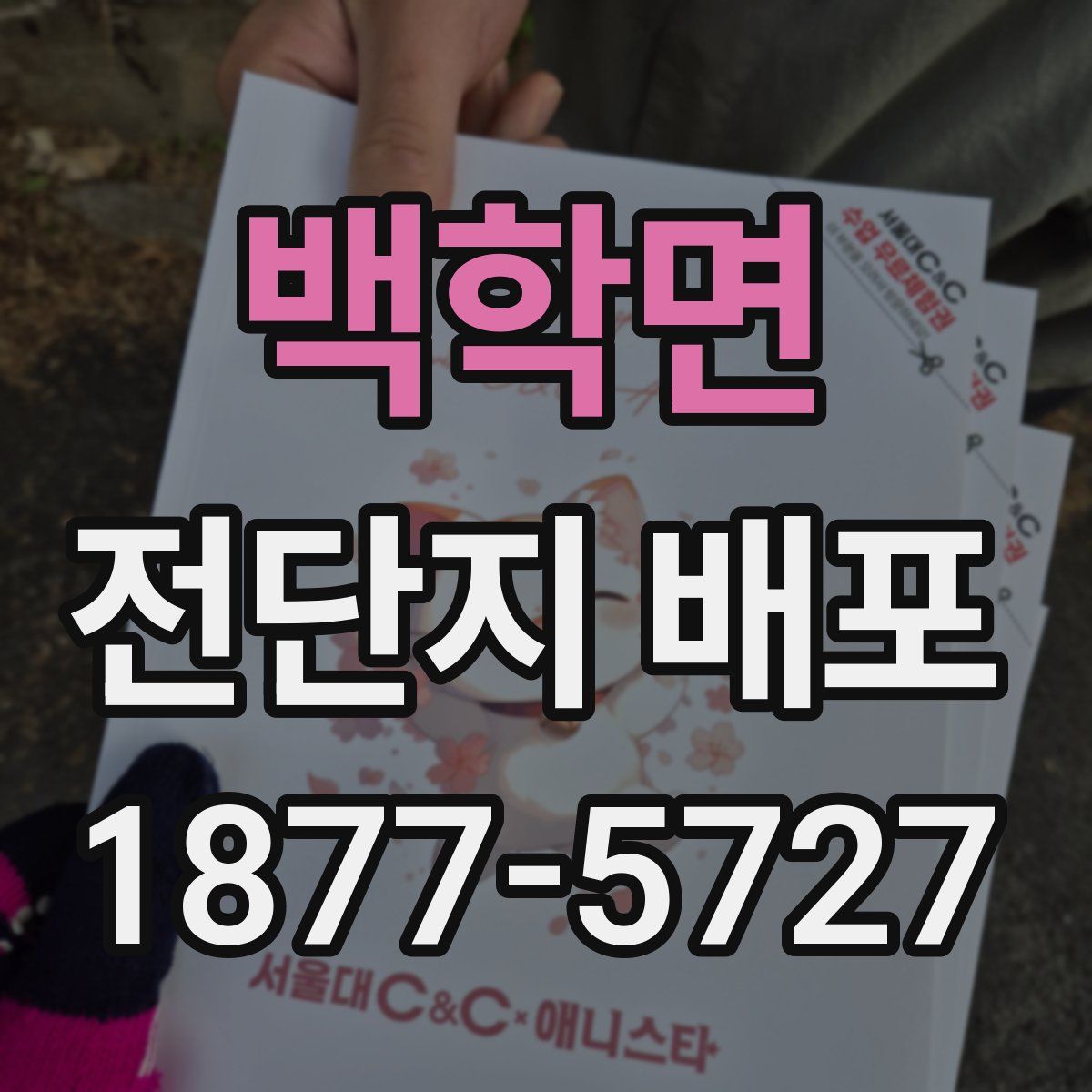 백학면 전단지 배포