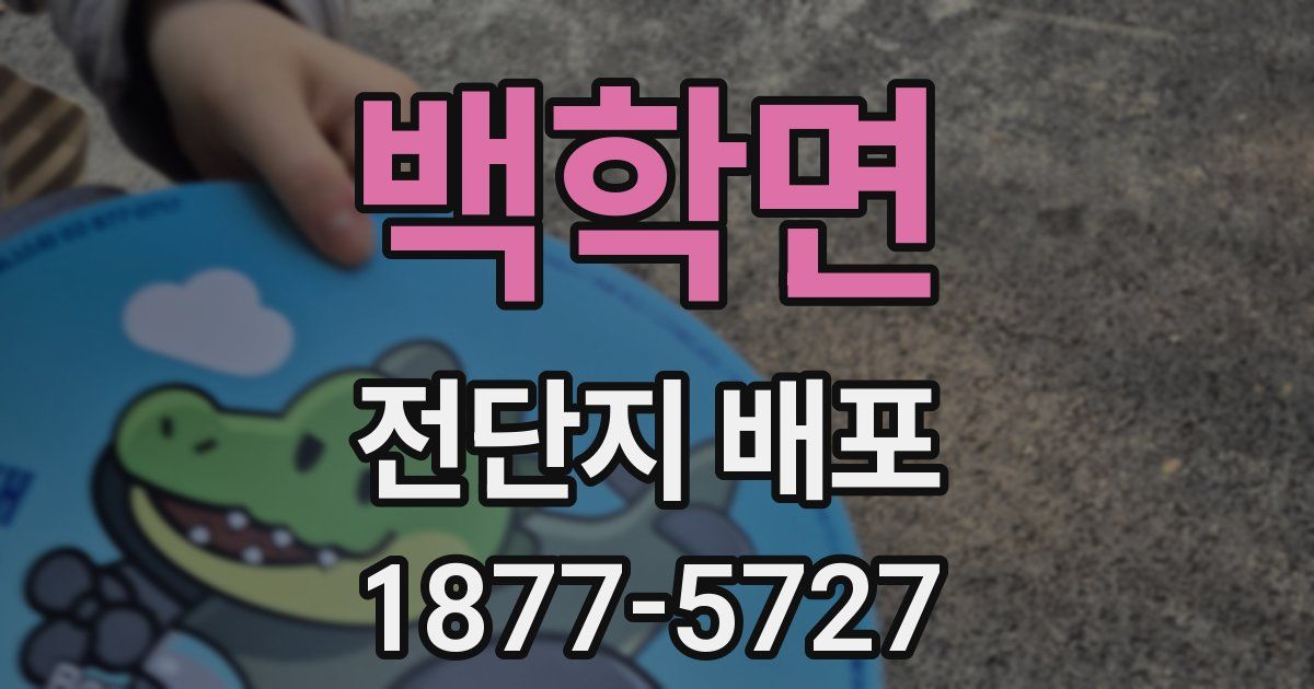 백학면 전단지 배포