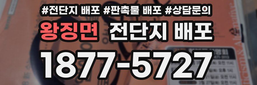 왕징면 전단지 배포