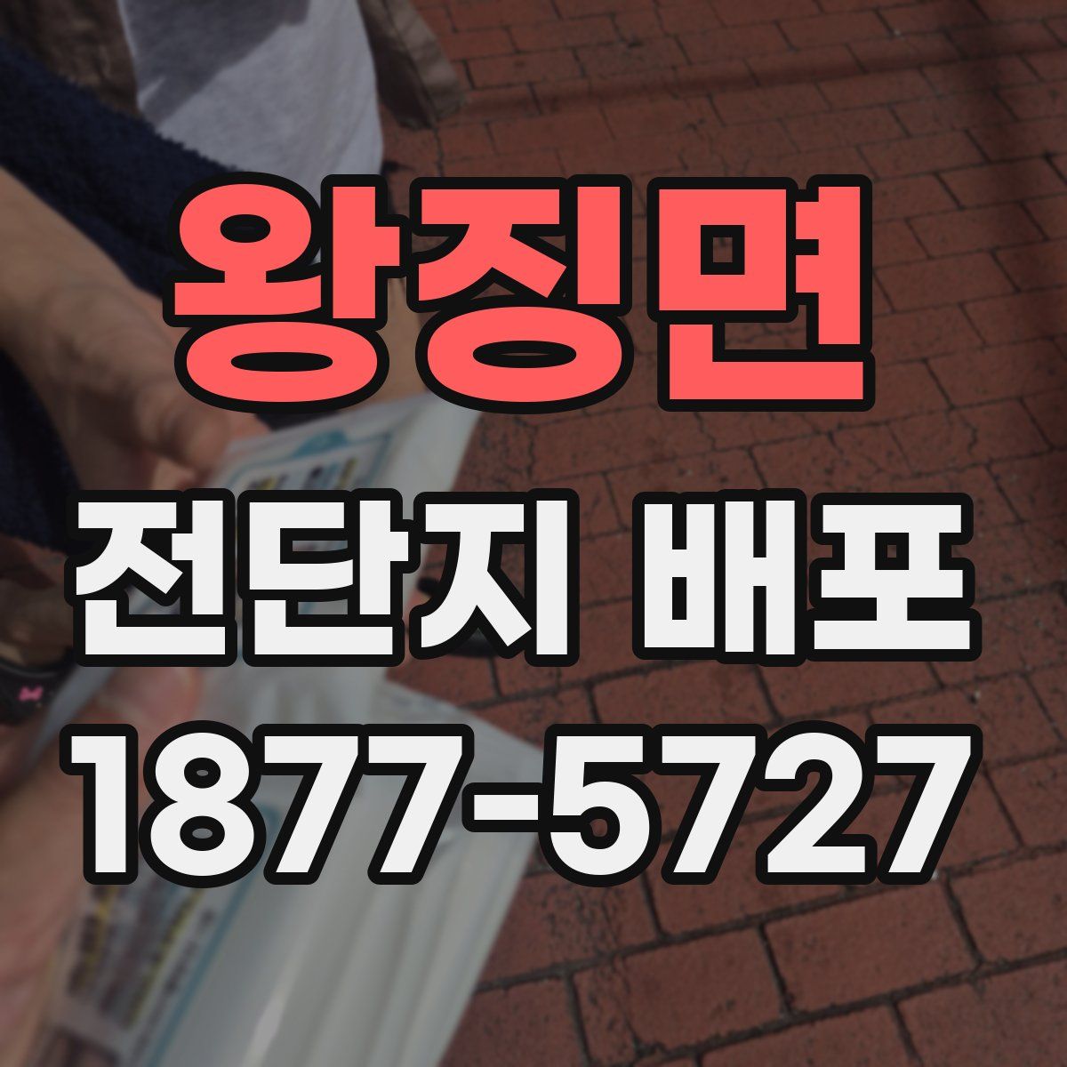 왕징면 전단지 배포