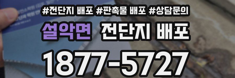 설악면 전단지 배포