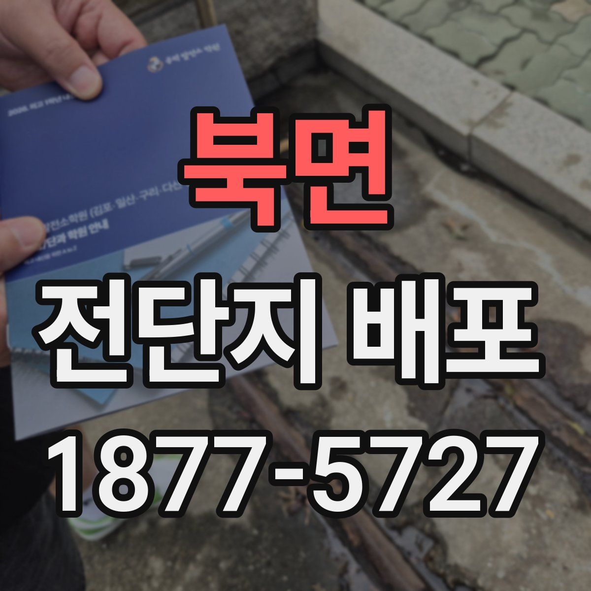 북면 전단지 배포