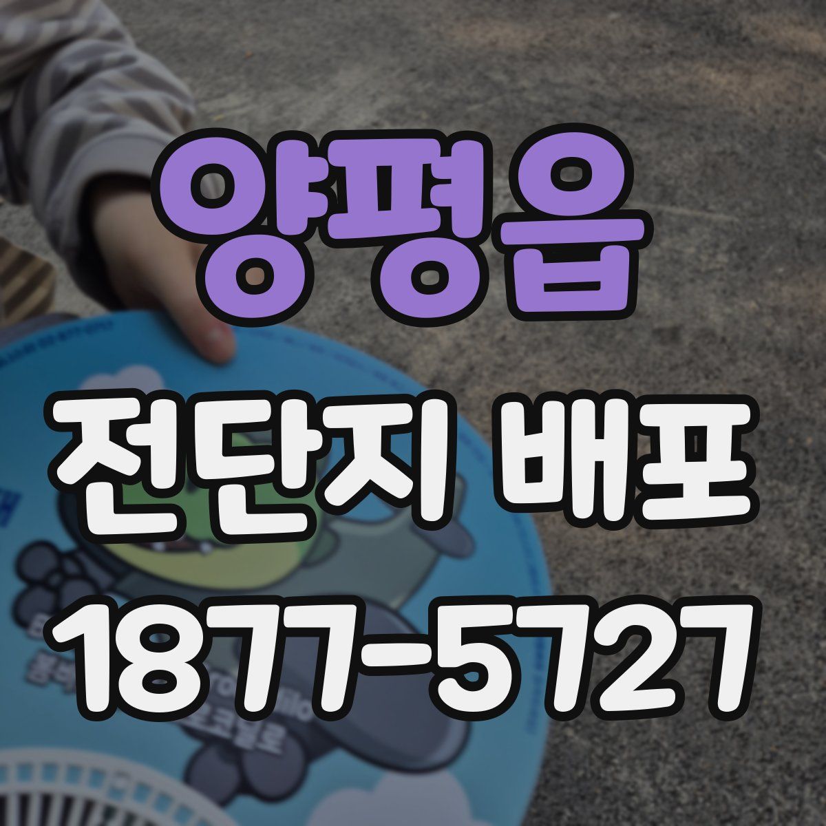 양평읍 전단지 배포