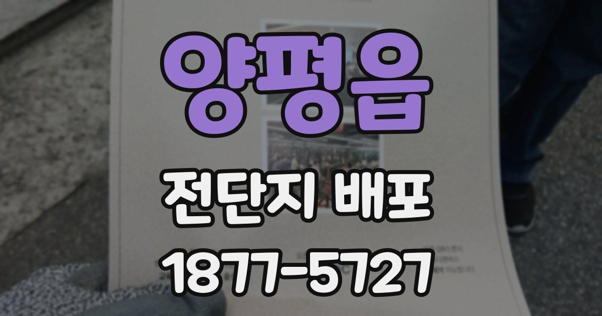 양평읍 전단지 배포