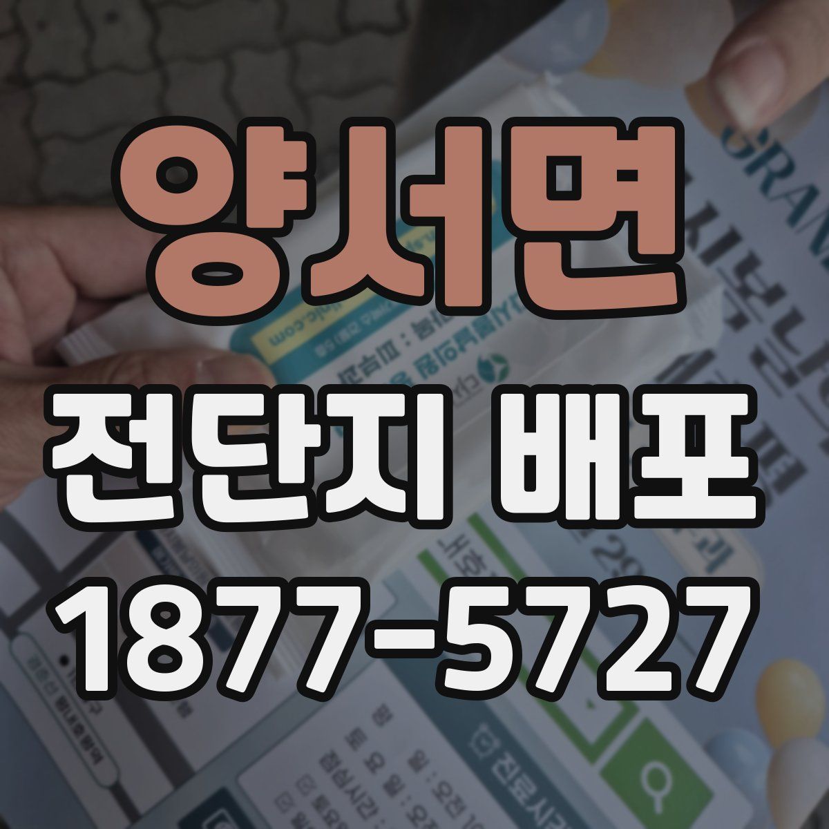 양서면 전단지 배포