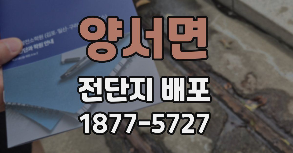 양서면 전단지 배포