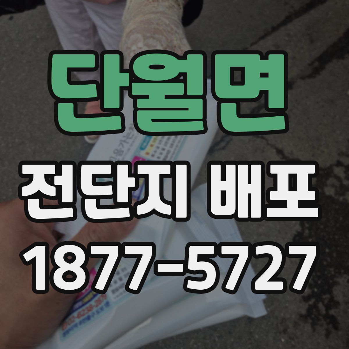 단월면 전단지 배포
