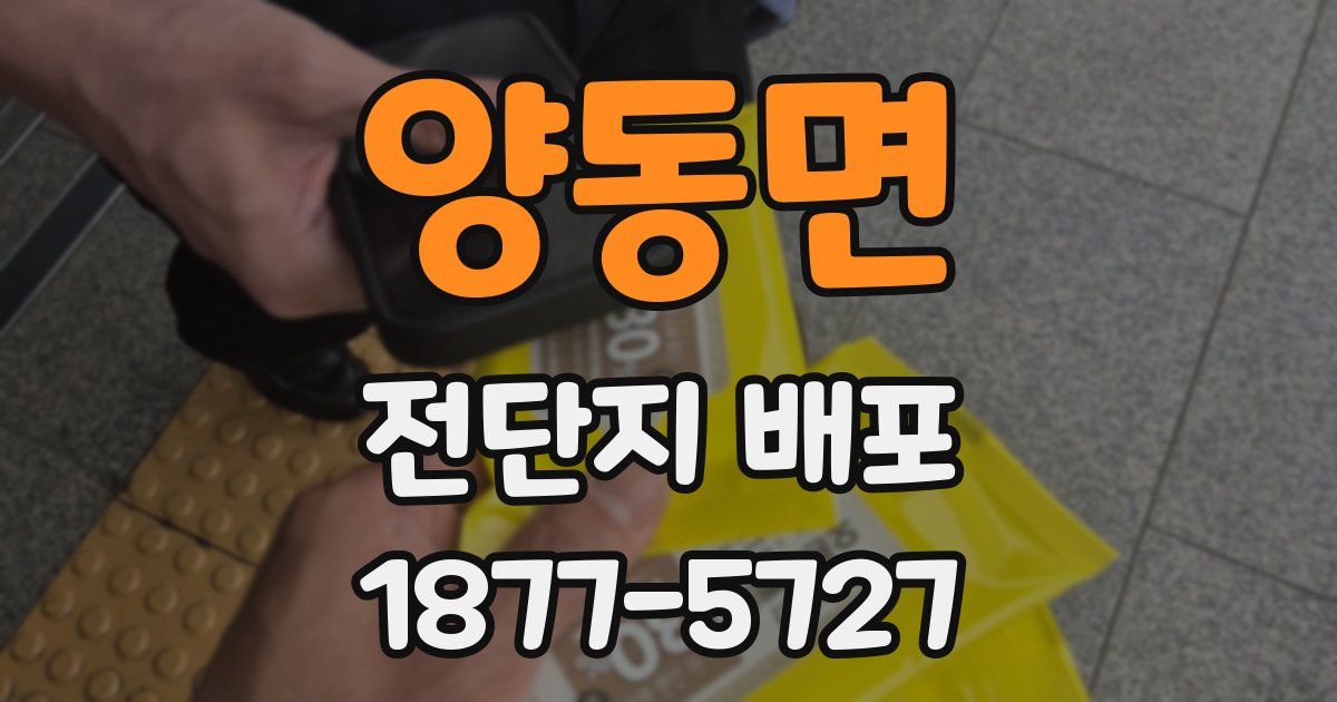 양동면 전단지 배포