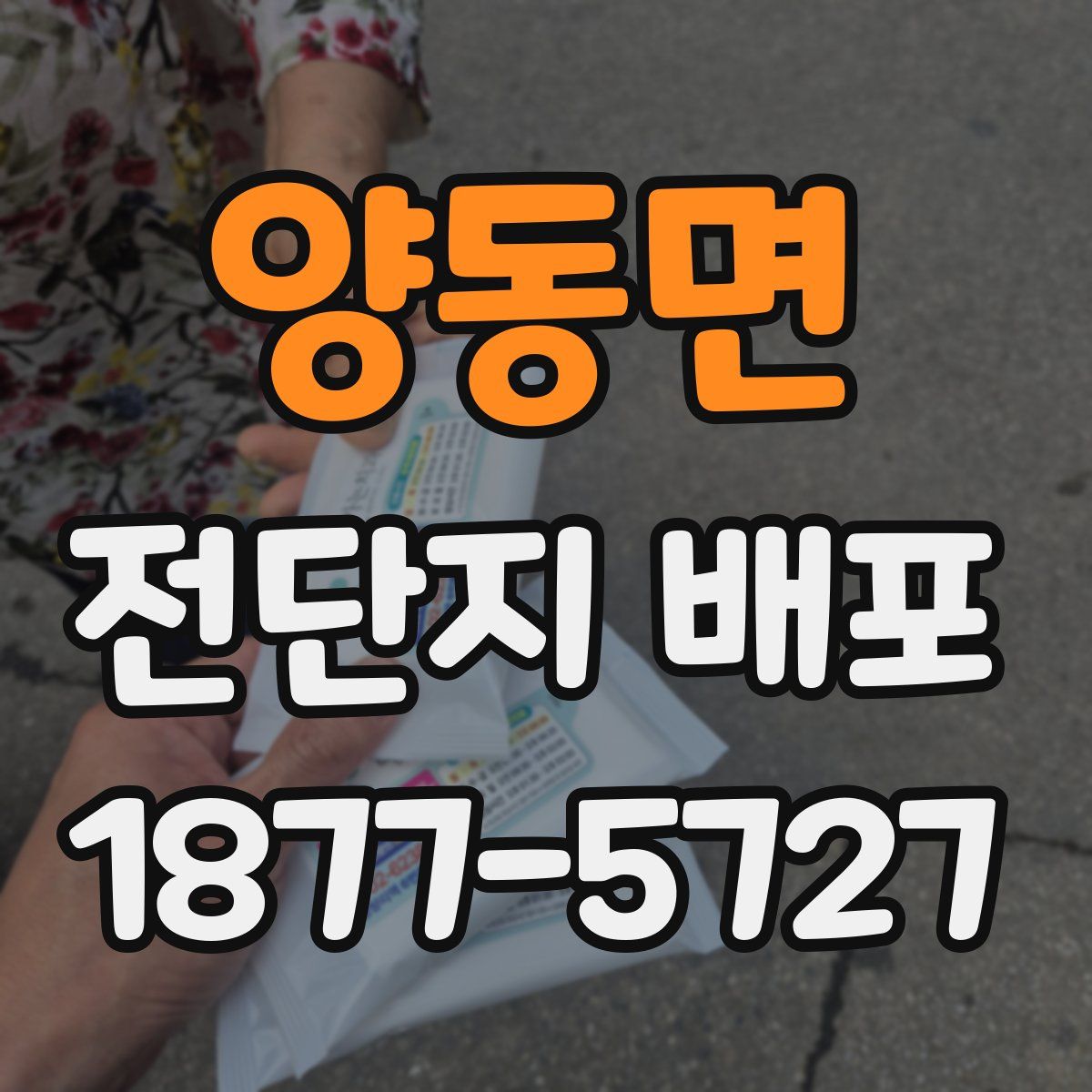 양동면 전단지 배포