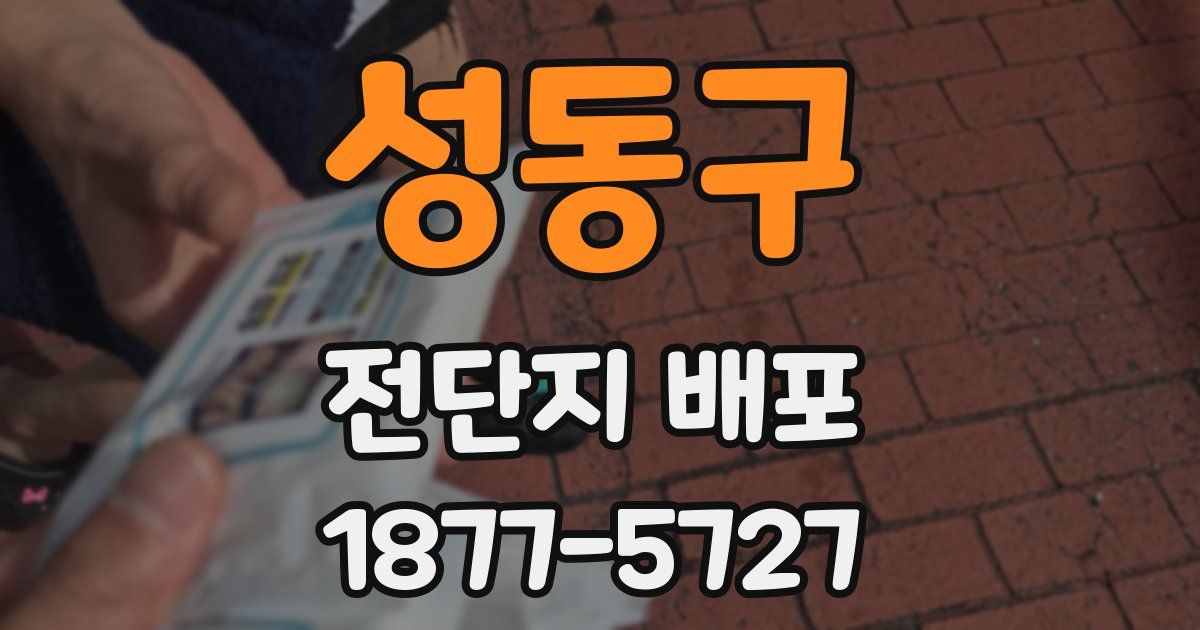 성동구 전단지 배포