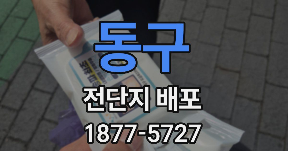 동구 전단지 배포