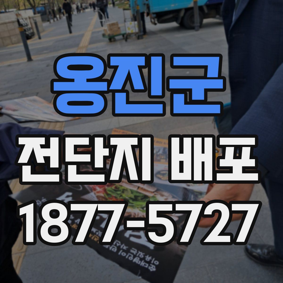 옹진군 전단지 배포