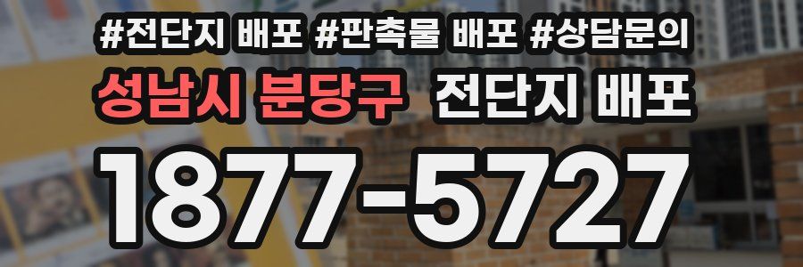 성남시 분당구 전단지 배포