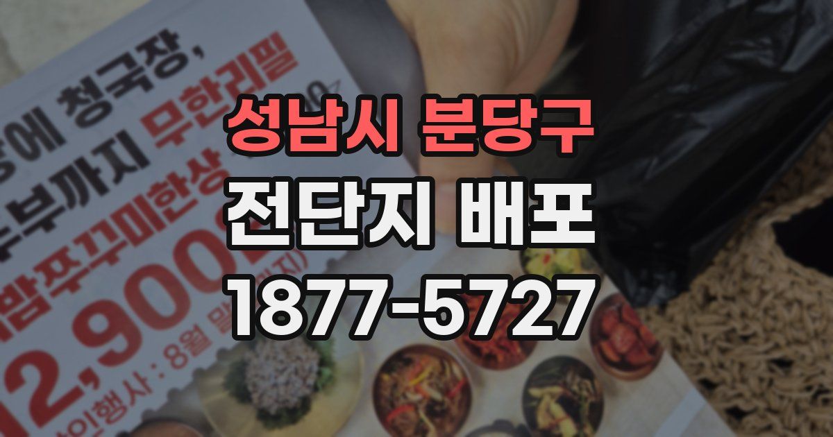성남시 분당구 전단지 배포