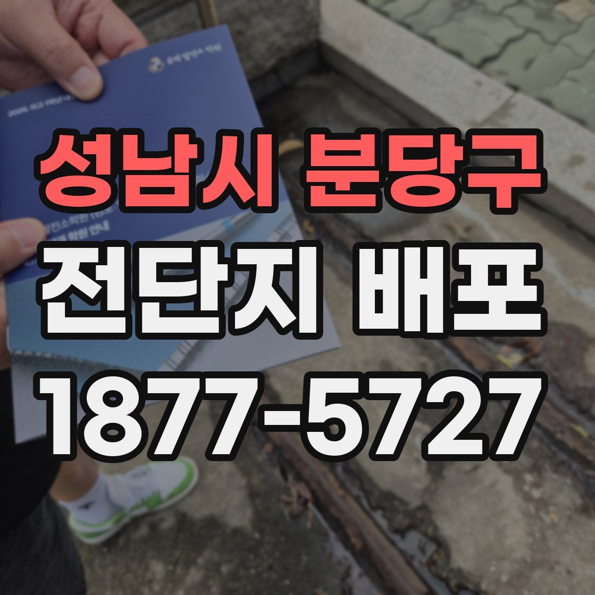성남시 분당구 전단지 배포