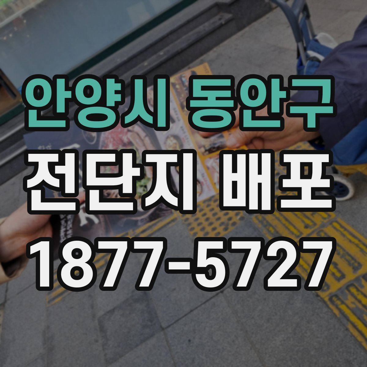 안양시 동안구 전단지 배포