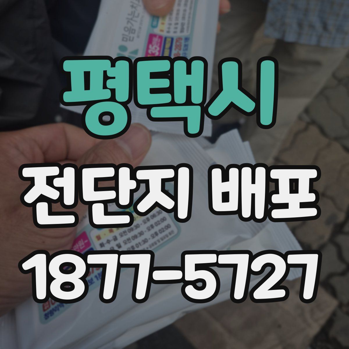 평택시 전단지 배포