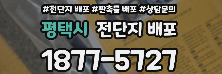 평택시 전단지 배포