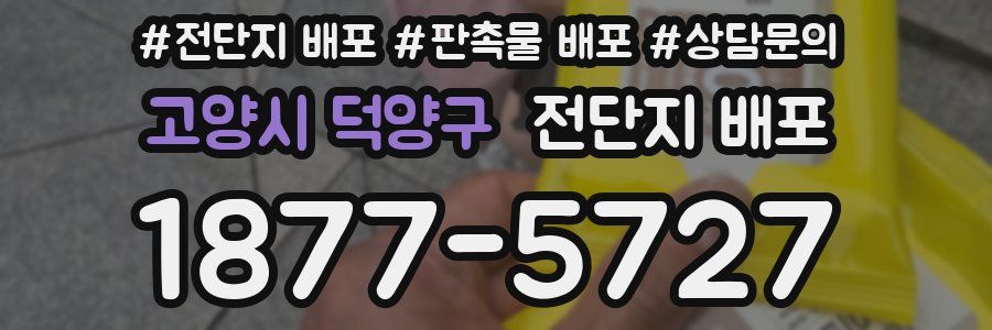 고양시 덕양구 전단지 배포