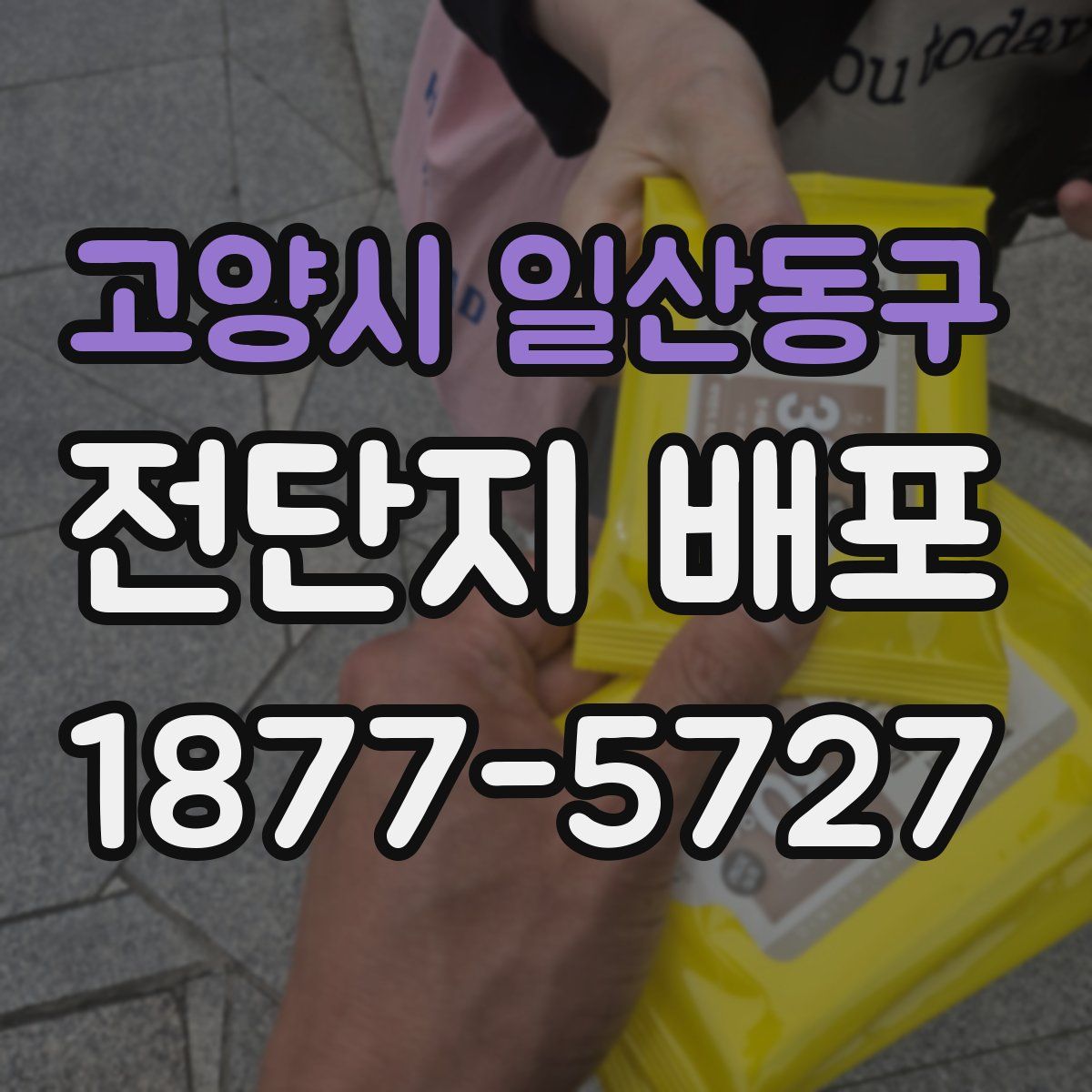고양시 일산동구 전단지 배포