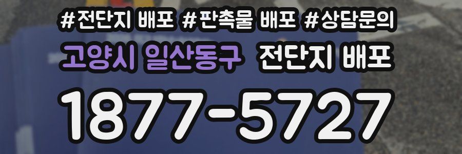 고양시 일산동구 전단지 배포