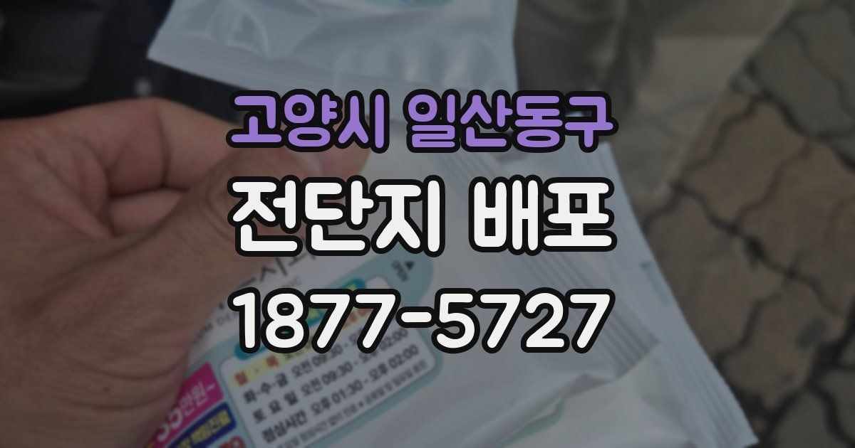고양시 일산동구 전단지 배포