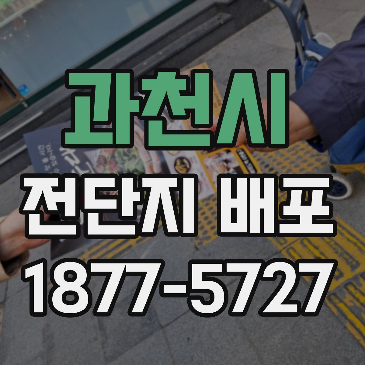 과천시 전단지 배포