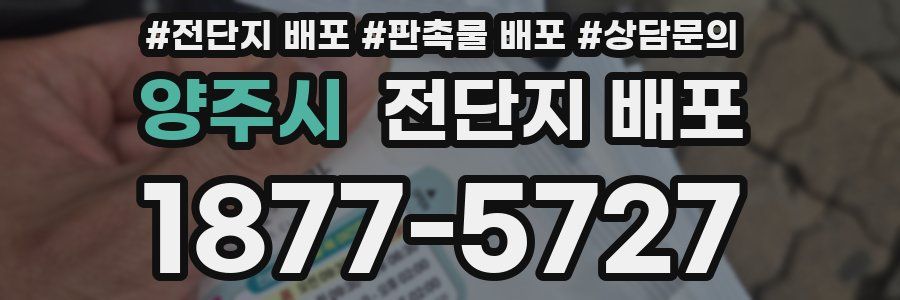 양주시 전단지 배포