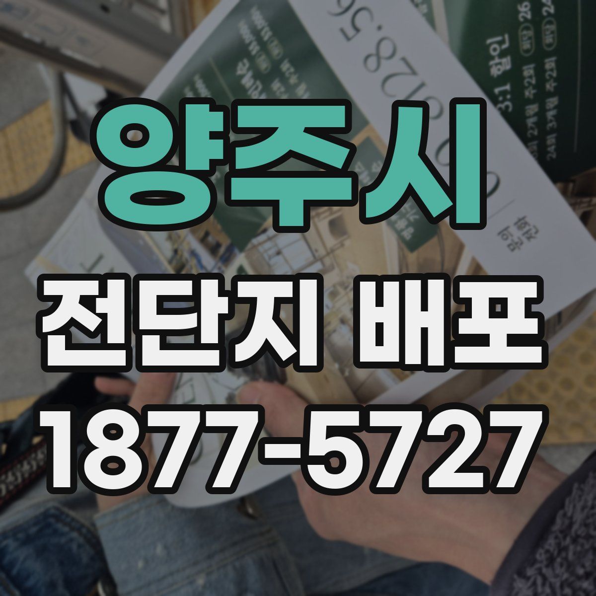 양주시 전단지 배포