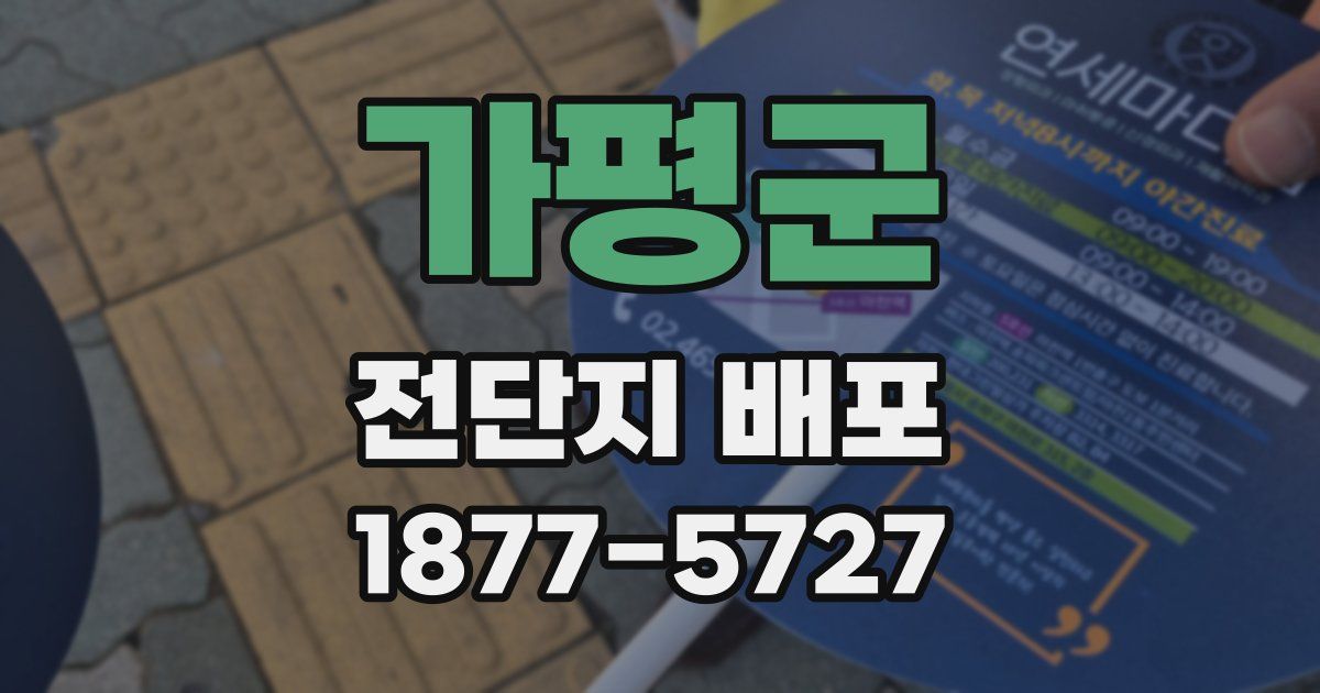 가평군 전단지 배포