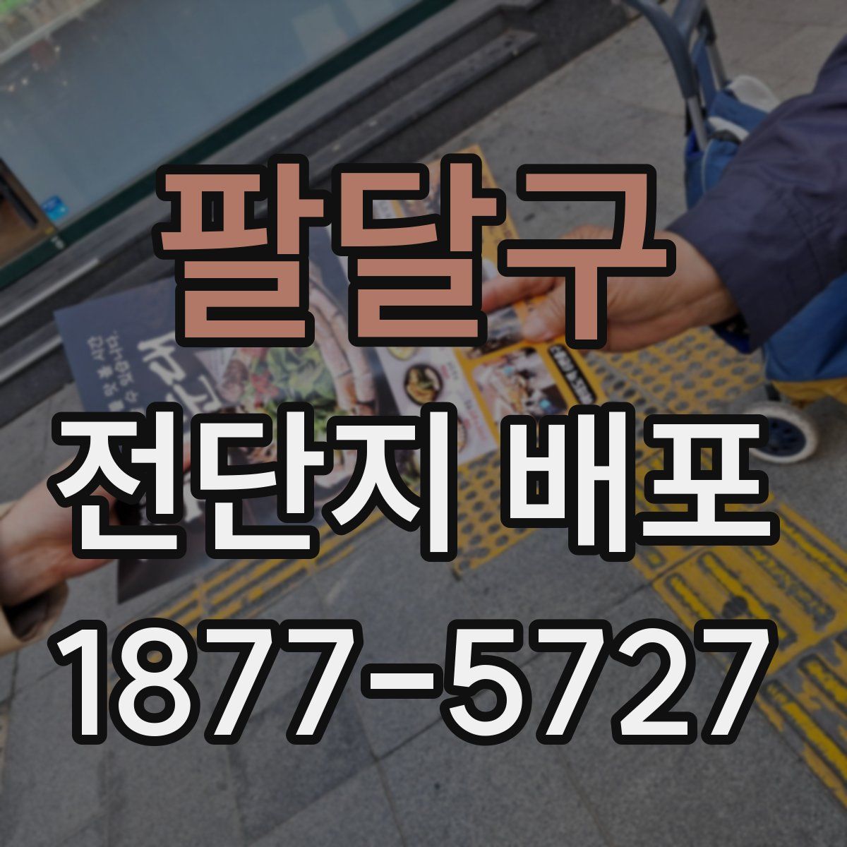 팔달구 전단지 배포