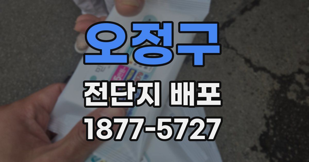 오정구 전단지 배포
