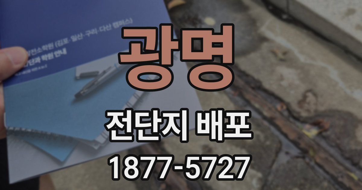 광명 전단지 배포