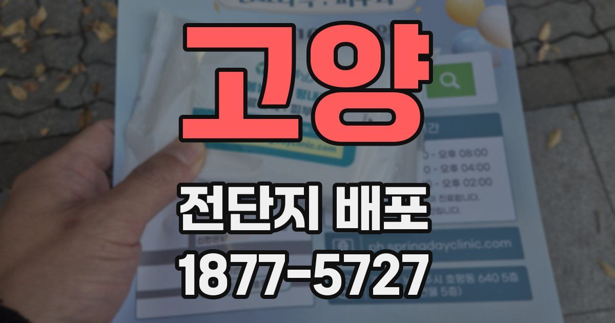 고양 전단지 배포