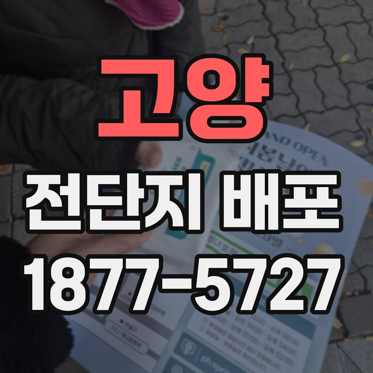 고양 전단지 배포