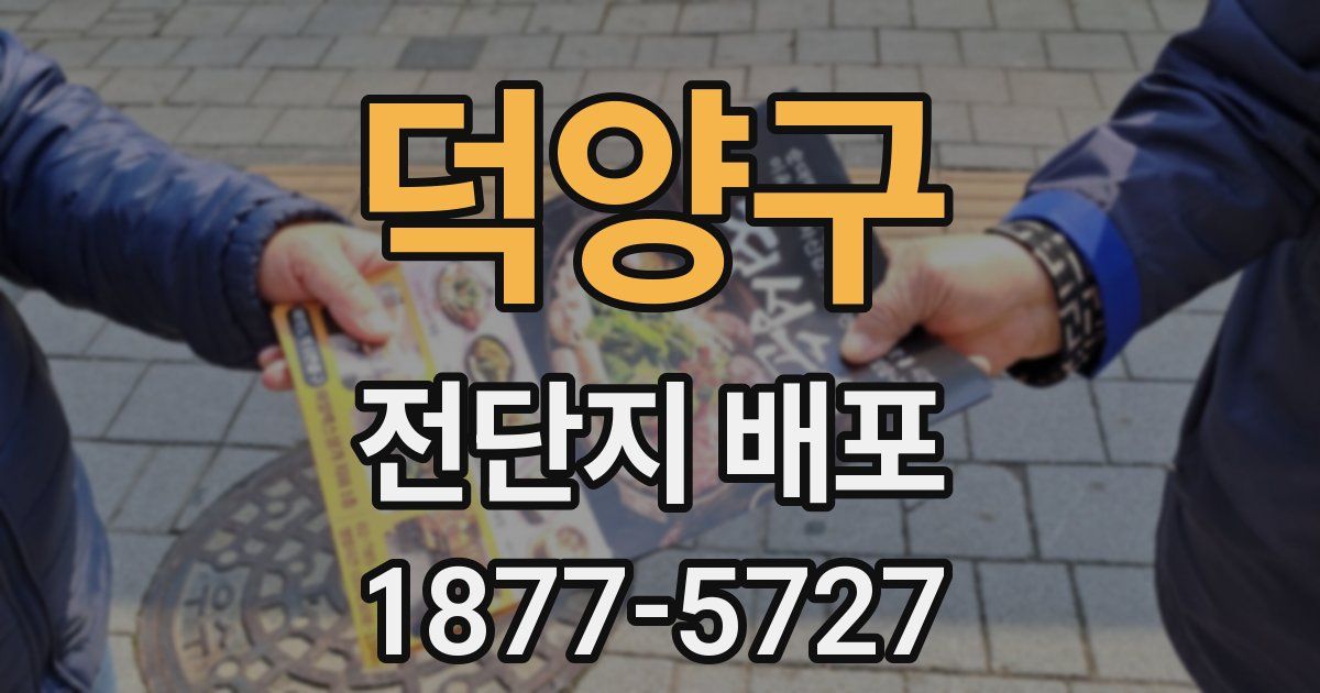 덕양구 전단지 배포