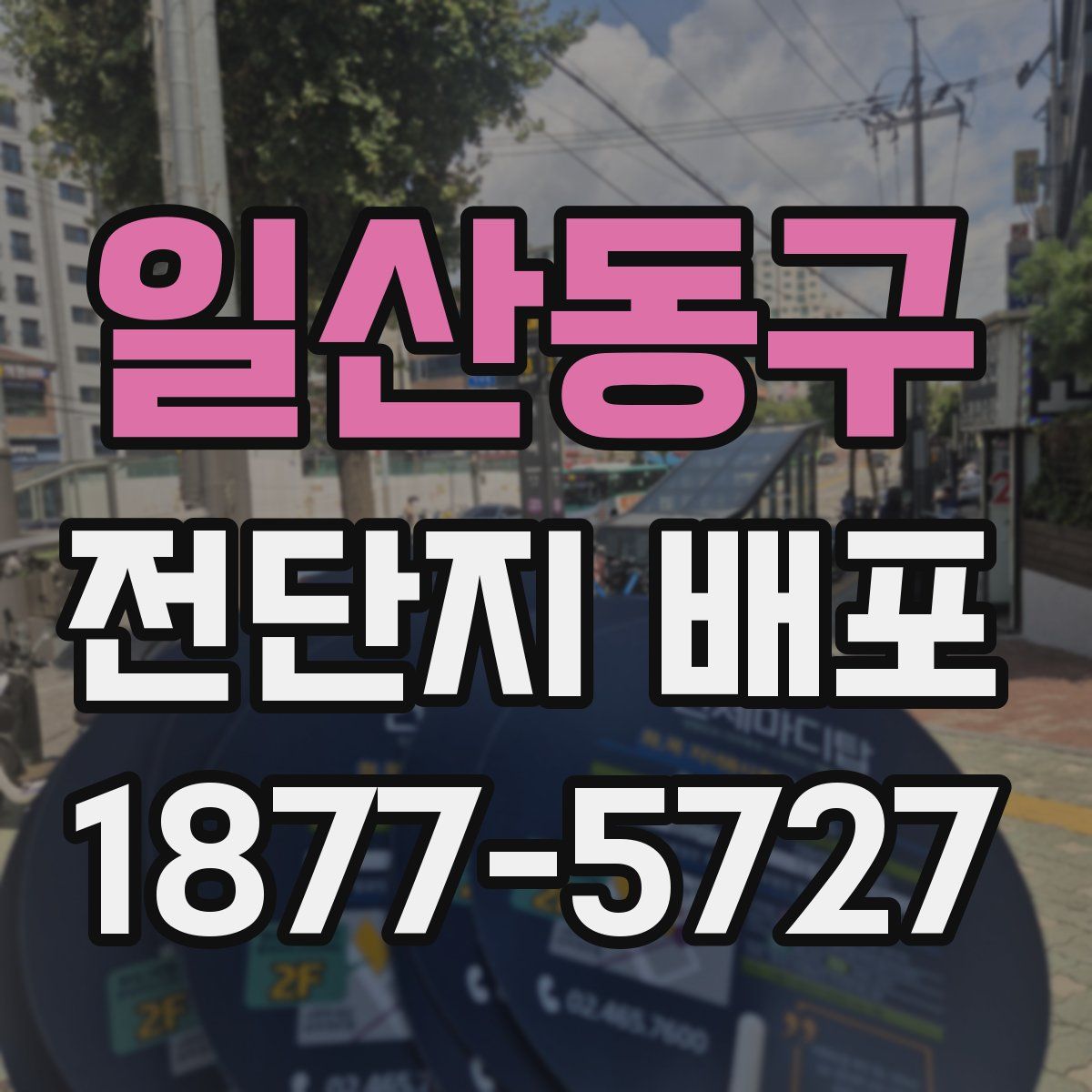 일산동구 전단지 배포