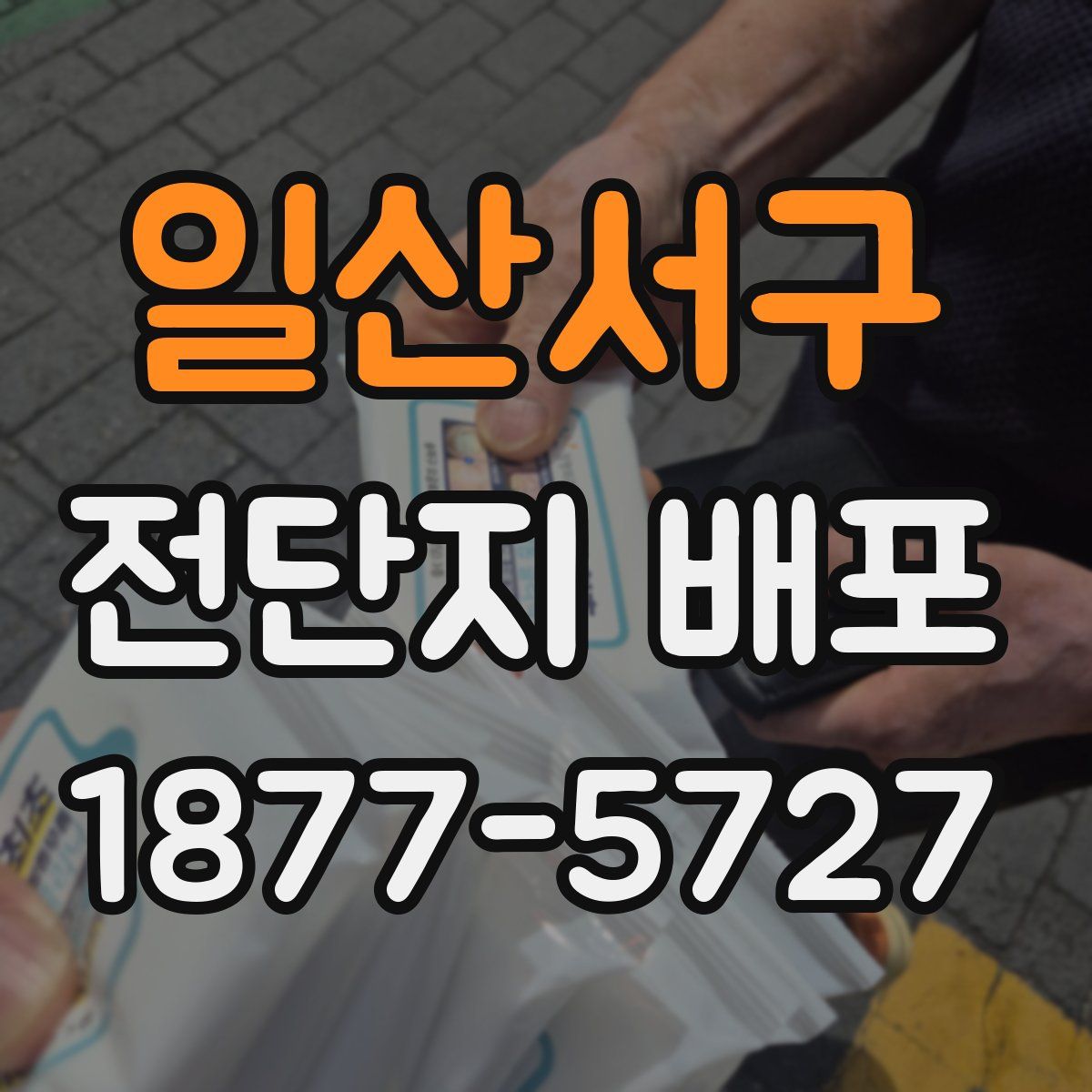 일산서구 전단지 배포