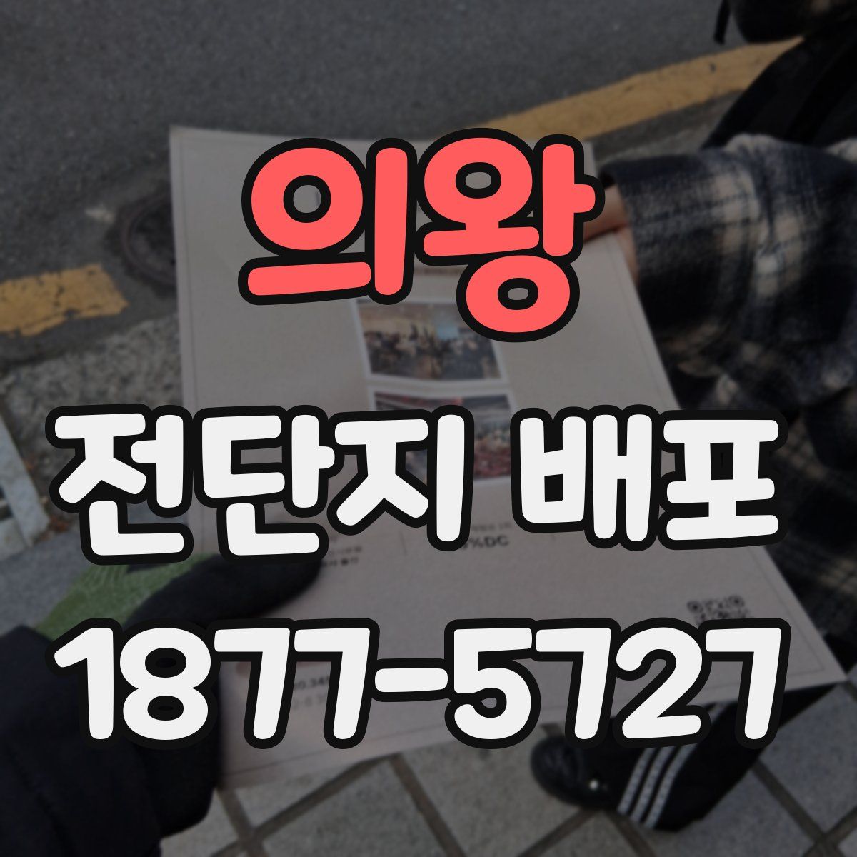 의왕 전단지 배포