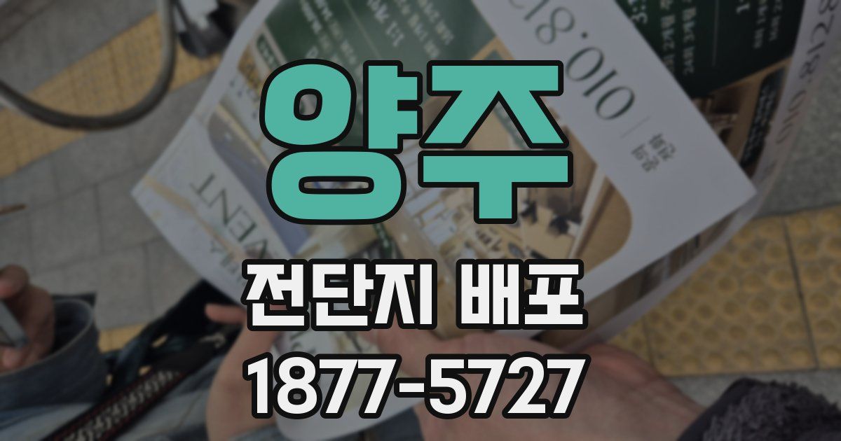 양주 전단지 배포