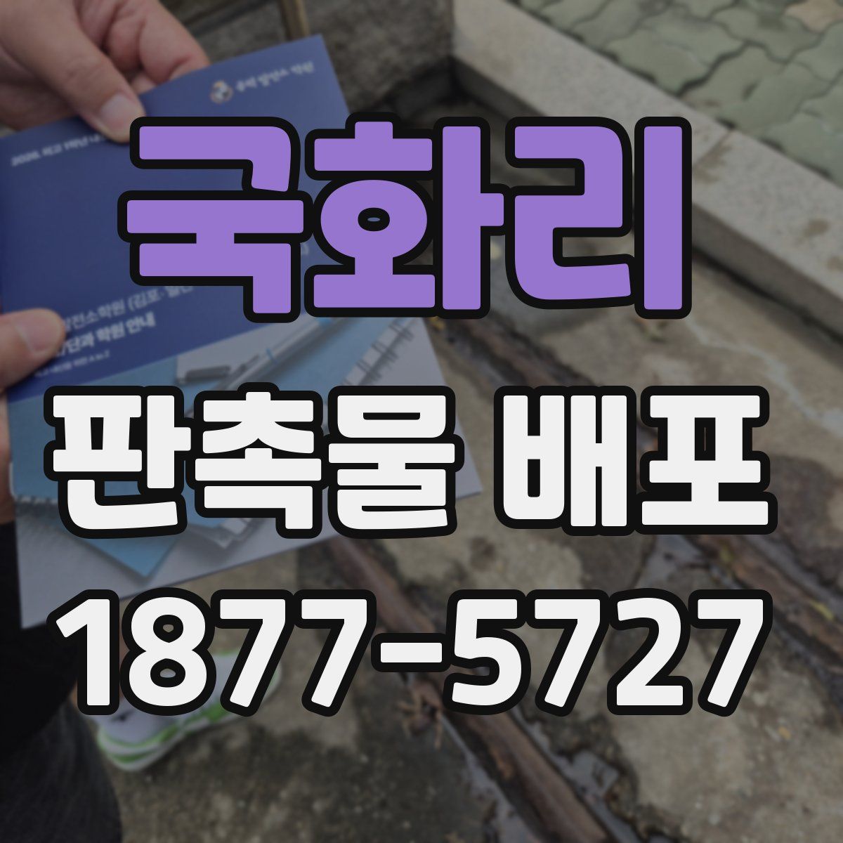 국화리 판촉물 배포